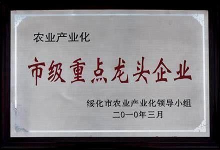 市级**龙头企业